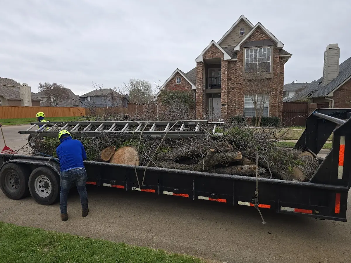 Expert Lot Clearing with proper safety equipment in Petrolia